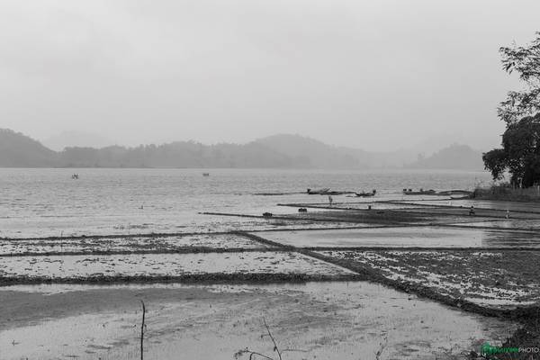 Một bãi bồi của hồ Lak được người dân bản địa tận dụng làm ruộng trồng lúa. Người dân ở đây cho biết hồ Lak không sâu lắm, thoải dần ra phía giữa hồ. Độ sâu nhất của hồ chỉ tầm từ 5-7 m.