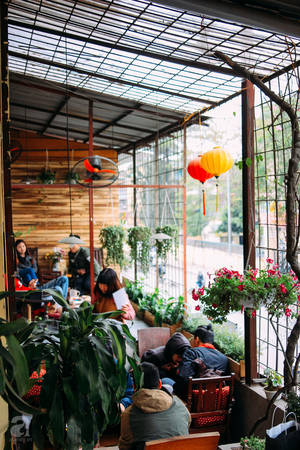 5 quán cà phê “náu” trong tập thể cũ tưởng không  xinh mà xinh không  tưởng ở  Thành phố Hà Nội