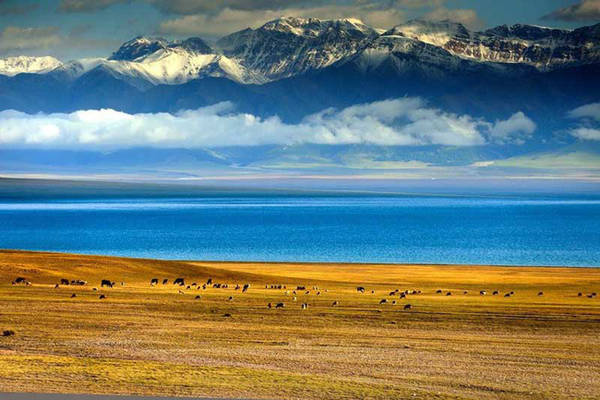 Cách Y Lê khoảng một giờ về phía đông bắc là hồ Sayram, hồ trên núi lớn nhất và có vị trí cao nhất ở Tân Cương. Sayram nằm khá gần Kazakstan nên bạn dễ dàng bắt gặp những người đàn ông Kazakh cưỡi ngựa đến mời bạn ở lại trú đêm trong những căn lều của họ.