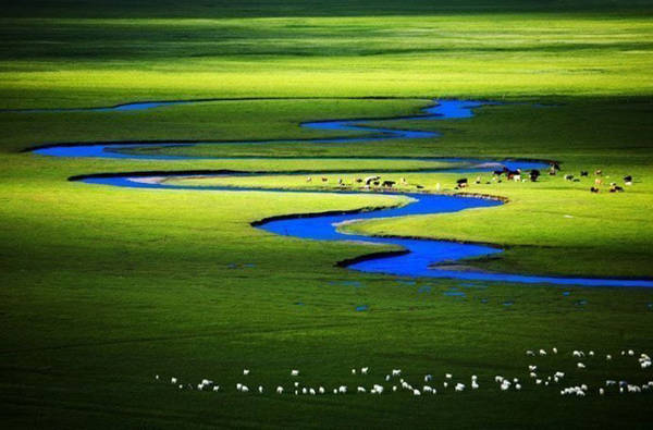 Swan Lake thực sự có nhiều hồ nhỏ, nơi trú ngụ của hàng ngàn con thiên nga vào mỗi mùa hè.