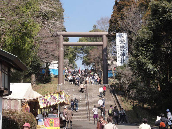  Nằm ở thành phố Mito thuộc tỉnh Ibaraki, Nhật Bản, Kairakuen là một trong 3 khu vườn đẹp nhất đất nước, mỗi năm thu hút hàng nghìn du khách ghé thăm.