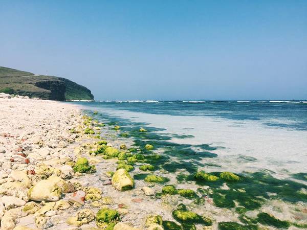 Image result for du lich dao ly son