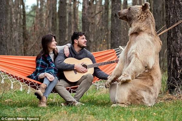 Trong những bức ảnh đẹp như cổ tích, cặp đôi ngồi trên võng và hát cùng chú gấu Stepan.