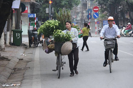 Loài hoa báo hè này đã rong ruổi trên những chiếc xe đạp cùng các chị, các cô trên khắp các tuyến phố Hà Nội như Phố Huế, Tô Hiến Thành,...