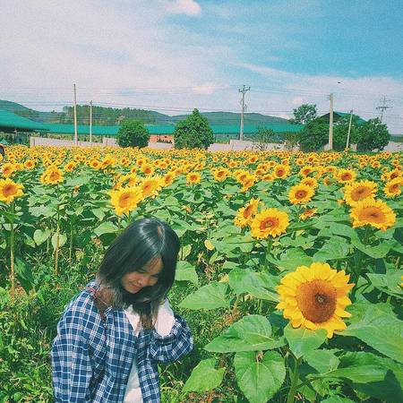 Ảnh: @a.n.h._.t.h.y