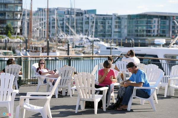 Cảng Waitemata và Hauraki là hai điểm giải trí du lịch nổi tiếng của New Zealand. Thời gian phù hợp nhất để khám phá là từ tháng 11 đến tháng 5, với thời tiết đẹp, trời xanh, ít mây và nắng vàng nhẹ.