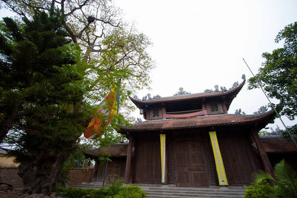 Theo truyền thuyết, chùa Nôm được xây giữa rừng thông cổ thụ nên còn có tên là “Linh Thông cổ tự”, xây dựng năm 1680, dưới thời Hậu Lê. Chùa từng là ngôi đại tự hoành tráng nhất miền Kinh Bắc và đang bảo tồn nguyên vẹn hơn 100 pho tượng cổ bằng đất nung.