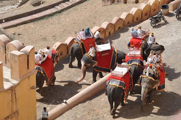 Năm 2013, pháo đài Amber, cùng với 5 pháo đài khác của bang Rajasthan được UNESCO công nhận là di sản văn hoá thế giới tại kỳ họp thường niên lần thứ 37 tổ chức tại Phnom Penh, Campuchia. Đây là một trong những điểm đến trong tour Tam giác vàng Ấn Độ. Bạn có thể tham khảo giá, lịch trình 6 ngày 5 đêm của Lantours với giá 27,2 triệu đồng/người.