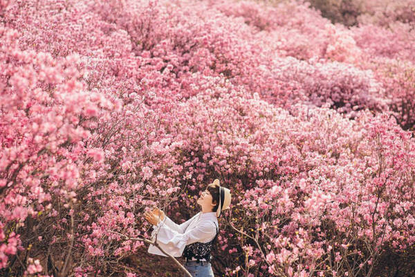Núi Chundeok nổi tiếng với lễ hội hoa đào thường được tổ chức vào cuối tháng 3, đầu tháng 4, khi mà những triền đồi nở hoa hồng rực. Hoa đào có chiều cao nhỉnh hơn đầu người đôi chút nên rất thuận tiện để chụp ảnh, dễ dàng hơn khi chụp ảnh với hoa anh đào, vốn dĩ có tán cao hơn.
