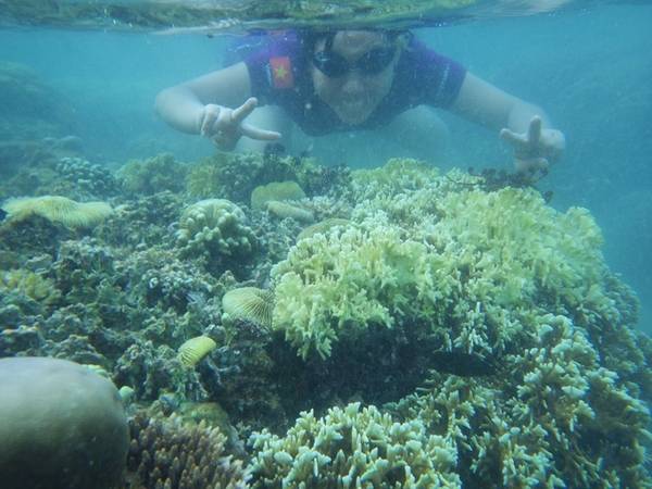 Lặn ngắm san hô, ăn tôm hùm đắt tiền là những trải nghiệm bạn nên thử khi đến đây. Du khách không nên tự ý khám phá mà nên hỏi chỉ dẫn đến vùng biển được phép ngắm san hô. Tuyệt đối không bẻ san hô mang về.