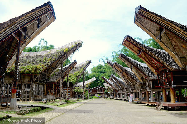 Toraja là nhóm dân tộc thiểu số sống ở vùng núi phía nam đảo Sulawesi, Indonesia. Vùng đất này nổi tiếng với các nghi thức tang lễ phức tạp, cách chôn lấp người chết vào những vách đá, những ngôi nhà truyền thống tongkonan được chạm trổ bằng gỗ đầy màu sắc. Lễ tang của người Toraja được coi là sự kiện xã hội quan trọng, hàng trăm người tham dự và kéo dài trong vài ngày.