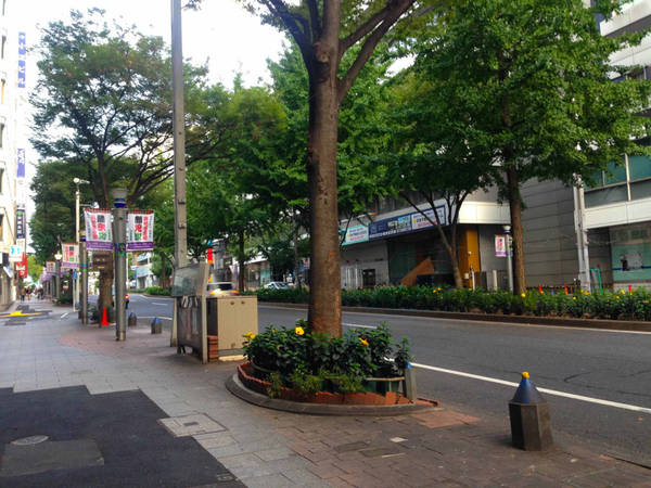 Đến Nagoya - thành phố công nghiệp của Nhật Bản và là thành phố lớn thứ ba của nước này, tôi cũng gặp cảnh tương tự trên đường phố buổi sáng. Đó là không gian thanh bình, hiếm hoi lắm mới nhìn thấy 1-2 người chạy bộ thể dục buổi sáng.