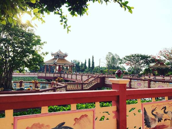 Hồ Sen của Miếu nơi có hòn non bộ và tượng Phật Quan Âm được thờ giữa hồ. 