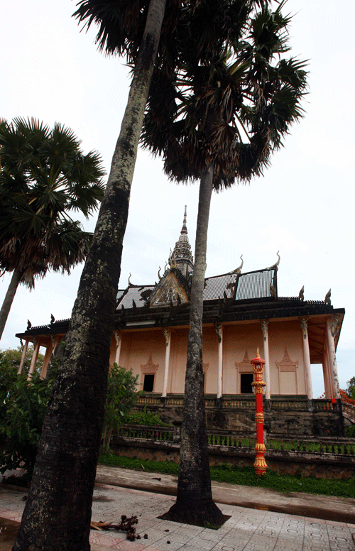    Khuôn viên rộng với những cây thốt nốt lâu năm cao vút, xếp thẳng hàng ở ngôi chùa cổ được xây dựng từ năm 1887.