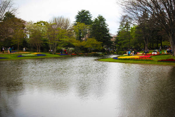 Nằm ở Tachikawa, cách trung tâm Tokyo 30 phút đi tàu, công viên có nhiều hồ nước xinh xắn, sân chơi và cảnh quan tuyệt đẹp. Du khách cần cả ngày để khám phá hết nơi này.