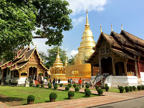  Wat Phra Singh là một trong những ngôi chùa nổi tiếng nhất ở trung tâm thành phố Chiang Mai. Ngoài ra, bạn có thể ghé Wat Pan Tao với màu nâu trầm như dựng lên từ gỗ, khác biệt so với các ngôi chùa vàng lấp lánh khác, hay Wat Chedi Luang, Wat Chiang Man. Tất cả đều nằm trong khu vực cổng thành, di chuyển rất tiện.