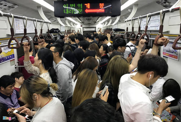 Với 12 tuyến chính, tổng chiều dài 331,5 km, 296 nhà ga, Metro đã trở thành phương tiện công cộng chính của người dân và du khách Seoul trong gần nửa thế kỷ qua. Các tuyến tàu đặc biệt đông khách vào giờ cao điểm là sáng sớm và chiều tối.