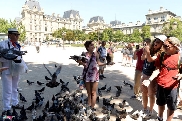 Trước khuôn viên nhà thờ Đức Bà Paris có rất nhiều chim bồ câu. Chúng sà xuống mỗi khi có khách mang thức ăn tới.