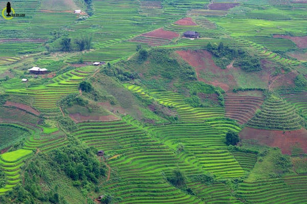 Khung cảnh hùng vĩ của ruộng bậc thang Bản Mù huyện Trạm Tấu, những tuyệt tác hình thành dưới bàn tay con người.