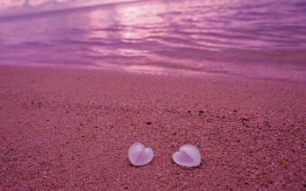 Theo các nhà khoa học, sở dĩ bãi biển này có màu sắc hiếm gặp như vậy là do một lượng khổng lồ những động vật cực nhỏ với vỏ hồng sáng, gọi là Foraminifera, trú ngụ trên cát. Mặc dù một số du khách cho rằng màu sắc thực của bãi cát hồng không rực rỡ như những gì họ chiêm ngưỡng trên Instagram, song trên thực tế, bãi biển này vẫn có vẻ đẹp hiếm có.
