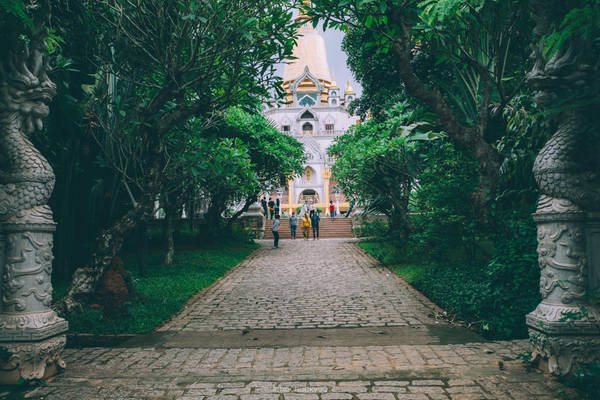 Lối lên tháp rợp bóng cây. Sự thanh tịnh của ngôi chùa chính là điểm nổi bật luôn thu hút đông đảo du khách thập phương đến tham quan, chiêm bái.