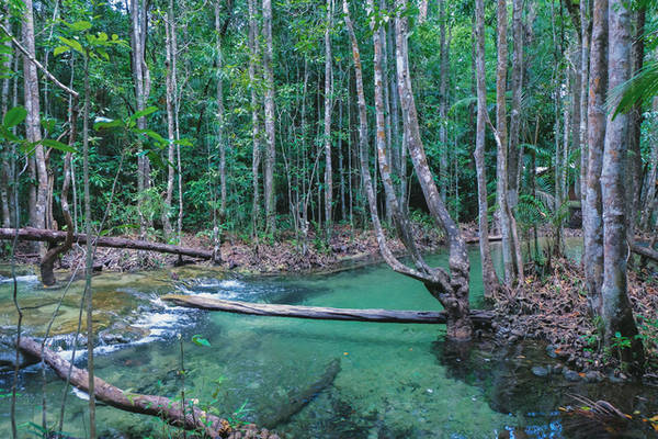 Một dòng suối trong xanh trong khu bảo tồn