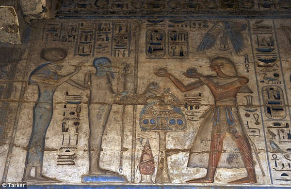 Một giả thuyết khác cho rằng đây có thể là Hoàng tử Pentewere, người bị xử tử do lên kế hoạch ám sát vua cha mình - Pharaoh Ramses III. Đó có thể là lý do vì sao xác ướp bị bọc trong da cừu - dấu hiệu cho thấy người chết đã làm điều xấu xa. Đồng thời, người này không có bia mộ, như thế anh ta không thể sang thế giới bên kia - sự trừng phạt tồi tệ nhất với người Ai Cập cổ. Não của anh ta vẫn ở trong hộp sọ, xác không được làm khô, và nhựa cây được đổ vào họng thay vì trong sọ. Tuy nhiên, đây chỉ là một giả thuyết và chưa có bằng chứng xác thực. Ảnh: Daily Mail.