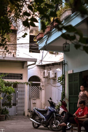 1. Hẻm cà phê: Tiếp xúc với nhiều người dân gốc Sài Gòn cũng như những người chọn nơi này sinh sống và làm việc thì nhận ra điểm chung là đa số đều thích ngồi hứng gió những tiệm cà phê nhỏ đây cây xanh trong những con hẻm vắng.
