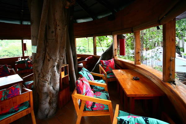 Một góc của “chuồng chim” trên cây nhìn từ tầng 2. Đây là nơi ngồi thú vị nhất của quán, được nhiều người ưa thích.