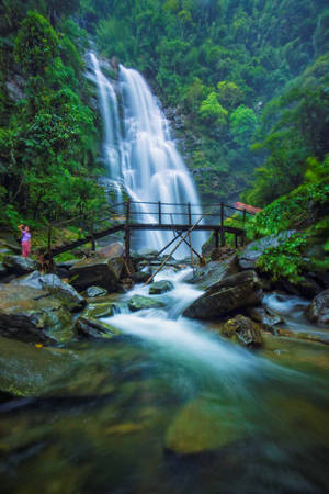Nhiều nhà khoa học khi nghiên cứu tại đây đã khẳng định thác Kèm là thác nước nguyên sinh bậc nhất Việt Nam.