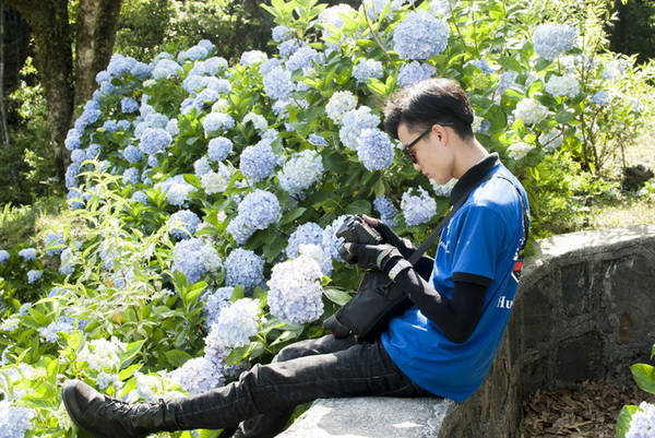 Không cần phải đầu tư máy ảnh chuyên nghiệp, chỉ cần chút nắng là bạn sẽ có bộ ảnh ưng ý khi tạo dáng ở vườn hoa cẩm tú cầu này.