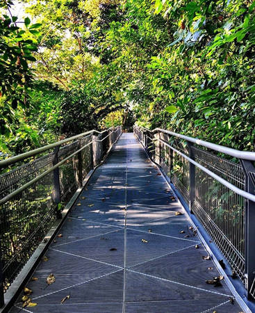 Cung đường Mandering Southern Ridges: Nối dài từ Marang Trail đến công viên Kent Ridge thuộc ĐH Singapore, con đường lót gỗ này chạy ngang qua công viên nổi tiếng Hot Park và Handerson Waves dài khoảng 10 km. Ảnh: Instagram travelledpic.