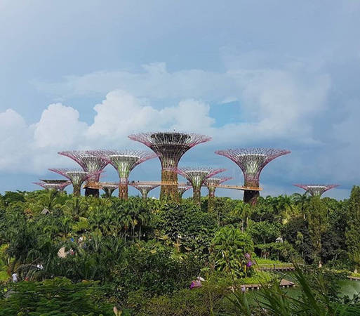 Gardens by the Bay: Cách trung tâm tài chính Singapore chưa đầy 5 phút đi bộ, nơi này được mệnh danh là khu vườn đẹp nhất quốc gia với 3 phần Bay south, Bay east và Bay central. Với tổng diện tích hơn 101 ha, Gardens by the Bay tập hợp hàng nghìn loài cây quý hiếm. Sự hài hòa giữa kiến trúc hiện đại với thiên nhiên tạo nên sức hút khó cưỡng đối với du khách ghé thăm đảo quốc. Địa điểm mở cửa từ 9h đến 21h hàng ngày. Ảnh: Instagram retratosdomundooficial.