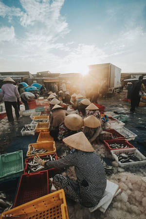 Khi những người đàn ông vận chuyển cá từ thuyền vào bờ, phụ nữ hồ hởi phân loại cá để sẵn sàng vận chuyển đến chợ nguồn hải sản phong phú và tươi ngon nhất.