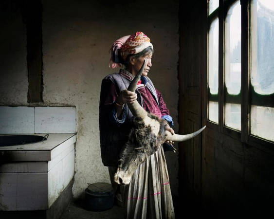Giờ đây, phụ nữ lớn tuổi là người gìn giữ văn hóa của tộc Mosou. Họ khỏe mạnh, uyên bác và đầy lòng tự trọng. Ảnh: National Geographic.