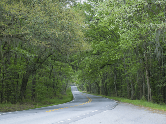 Xa lộ 17, Nam Carolina  Tuyến xa lộ số 17 ở Nam Carolina được biết là cung đường đẹp vì được bao bọc bởi nhiều tán cây xanh mát nhưng lại có nhiều góc cong mù. Bên cạnh đó, nhiều loài động vật hoang dã như hươu, nai, sư tử núi có thể xuất hiện bất chợt ngay trước xe của bạn.