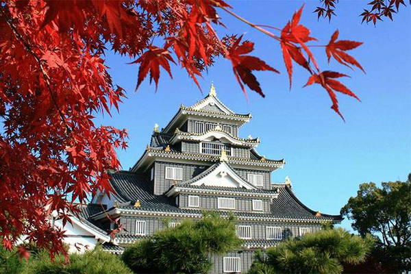 Lâu đài Okayama, Okayama: Lâu đài này được xây dựng năm 1597. Chủ sở hữu của lâu đài đã bị bắt và qua đời chỉ 3 năm sau đó mà không có người thừa kế. Tường của tòa tháp chính Tenshukaku có màu đen nên Okayama còn được gọi là "Lâu đài Quạ đen", tương phản với lâu đài Himeji trắng gần đó. Trong thời hoàng kim, mái nhà chính của lâu đài có gạch mạ vàng và tượng đầu cá vàng. Trong Thế chiến II, tháp chính của lâu đài bị phá hủy. Đến những năm 1960, Okayama đã được tu sửa lại. Hiện nay, lâu đài được trang bị cả điều hòa và thang máy. Ảnh: Japanmagazine.