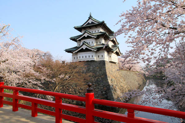 Lâu đài Hirosaki, Aomori: Lâu đài được gia tộc Tsugaru xây dựng vào đầu những năm 1600. Sau khoảng 15 năm xây dựng, lâu đài bị hư hỏng do sét đánh trúng kho thuốc súng. Sau đó khoảng 2 thế kỷ, công trình này được tái thiết. Ngày nay, công viên xung quanh lâu đài là một trong những địa điểm ngắm hoa anh đào nổi tiếng nhất Nhật Bản. Công viên có khoảng 2.600 cây hoa anh đào, được trồng từ năm 1903. Lâu đài cũng là nơi diễn ra Lễ hội đèn lồng tuyết hàng năm, thu hút hàng trăm nghìn du khách. Ảnh: En-aomori.
