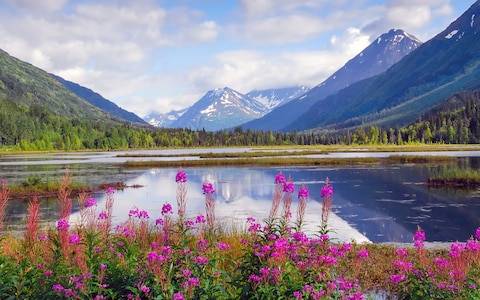 Sông Kenai, Alaska, Mỹ.
