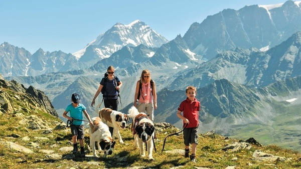 Phải đóng thuế cho chó: Ở Thụy Sĩ, chủ nhân phải đóng thuế cho cún cưng của mình. Một số bang thu mức thuế chung, số khác quy định thuế theo kích cỡ và trọng lượng của con vật. Ảnh: Switzerland Tourism.