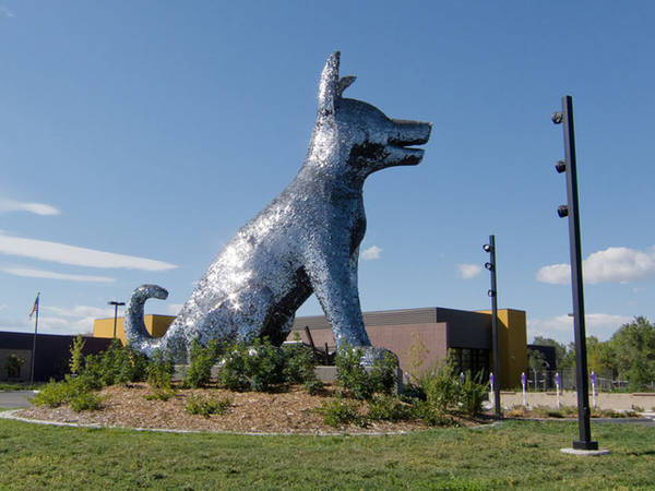 Bức tượng chú chó đang ngồi ở Denver, Mỹ. Ảnh: Badbearmedia Ngay phía bên ngoài Trung tâm cứu hộ động vật của thành phố Denver, bang Colorado (Mỹ) là một bức tượng chú chó đang ngồi cao 6m. Bức tượng được hai nhà điêu khắc Laura Haddad và Tom Drugan tạo tác từ một bộ xương bằng thép, phủ bên ngoài là hơn 90.000 tấm thẻ in hình những chú chó, phản quang và đung đưa khi có gió thổi.