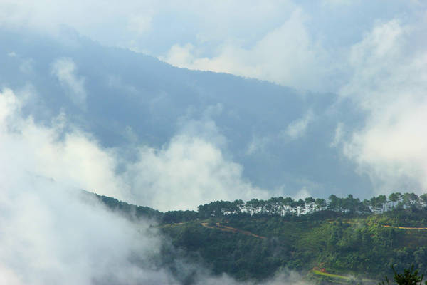 Mây ở Bản Phùng không dày đặc như Ngải Thầu hay Tà Xùa, chỉ lãng đãng giăng ngang đầu núi, thoắt ẩn thoắt hiện.