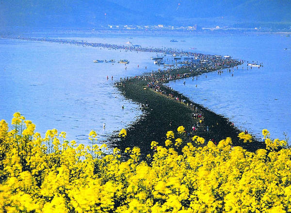 Lễ hội đi bộ qua biển (đảo Jindo): Mỗi năm một lần, du khách đổ tới đảo Jindo để tham gia lễ hội đặc biệt này. Khi thủy triều xuống sâu, bạn có thể đi bộ từ đảo Jindo đến hòn đảo gần đó mà không cần dùng thuyền.