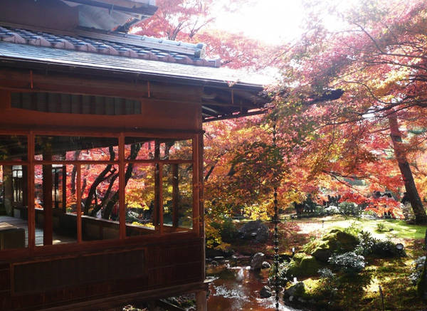 Miếu Hogon-in: Nằm trong quần thể chùa Tenryu-ji ở Arashiyama, khu vườn Shishiku được chiếu sáng sẽ trở nên ấn tượng khi trời tối. Vào mùa thu, lá cây chuyển màu đỏ nghiêng bóng xuống con suối nhỏ khiến du khách ngắm mãi không rời. Ảnh: allabout-japan.