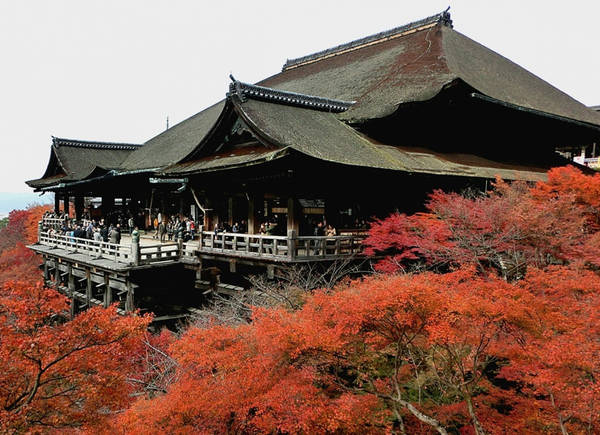 Chùa Kiyomizu-dera: Thu sang, du khách đổ về Kyoto rất đông. Tuy nhiên, chùa Kiyomizu-dera là điểm đến được nhiều người lựa chọn nhất. Khi đến đây, bạn có thể đứng trên con đường gỗ xung quanh đền, ngắm lá cây đỏ rực hệt như hình ảnh trong các cuốn sách. Ảnh: allabout-japan.
