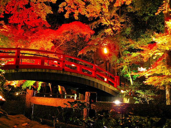 Đền Kitano Tenmangu: Ngôi đền được Toyotomi Hideyoshi xây dựng vào năm 1607. Trong sân đền, 250 cây phong chuyển màu đỏ rực khi thu sang khiến du khách ngắm không rời mắt. Ảnh: allabout-japan.