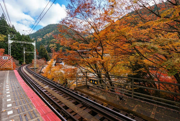 Đền Kifune: Nằm ở phía Bắc Kyoto, đây là nơi cầu duyên nổi tiếng ở Nhật Bản. Vẻ đẹp mùa thu của chùa Kifune tạo nên sự thu hút đối với khách du lịch. Ban đêm, khu đền được chiếu sáng càng giúp cảnh sắc thêm huyền ảo. Ảnh: allabout-japan.