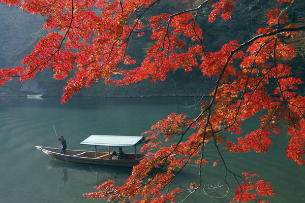 Arashiyama: Đây là một trong những điểm tham quan nổi tiếng ở Kyoto. Du khách có nhiều cách để ngắm phong cảnh khu vực này, gồm: tản bộ quanh đền, đi thuyền trên sông, ngồi trên tàu hỏa. Ảnh: allabout-japan.