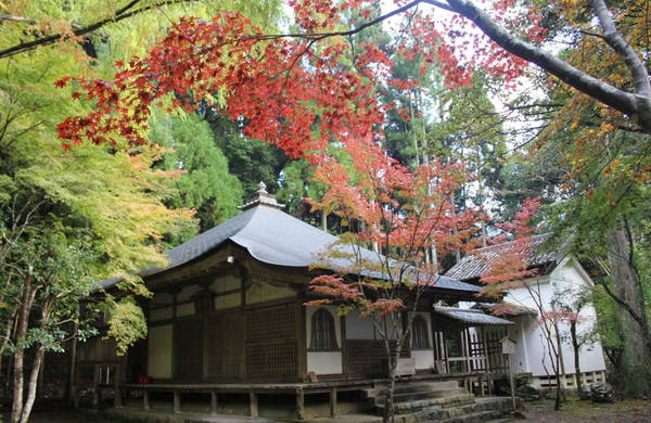 Khu vực Takao: Nếu muốn rời xa thành phố, bạn có thể chọn ngắm sắc thu tại khu Takao ở vùng ngoại ô Kyoto. Khi đến đây, du khách đừng quên ghé thăm đền Jingo-ji có hệ thống đèn chiếu sáng lá cây vào ban đêm. Ảnh: allabout-japan.