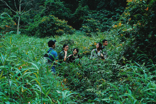 Nhóm bạn trẻ trekking rừng quốc gia Cát Bà. Ảnh: Thùy Linh.